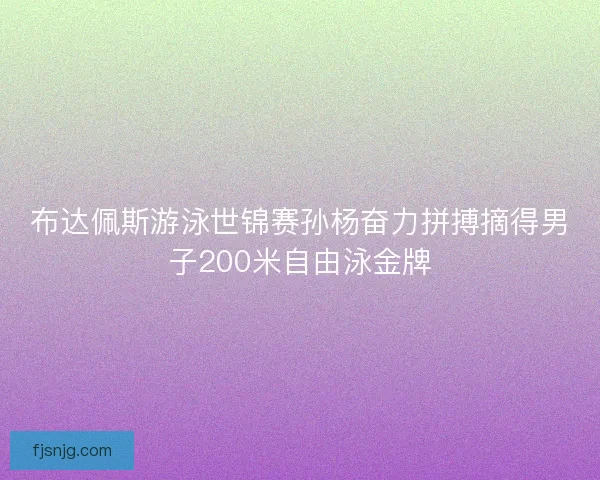 布达佩斯游泳世锦赛孙杨奋力拼搏摘得男子200米自由泳金牌