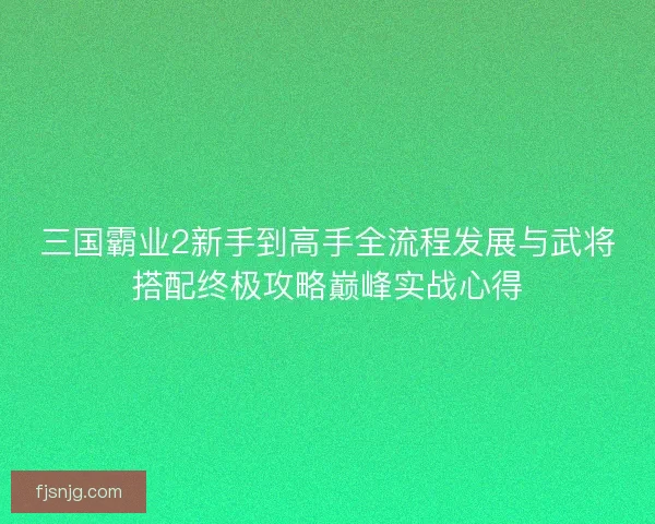 三国霸业2新手到高手全流程发展与武将搭配终极攻略巅峰实战心得